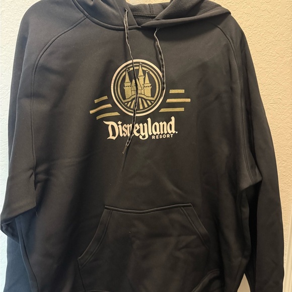 Champion Black Hoodie WALT DISNEY WORLD Men’s Size XL - Picture 4 of 9